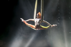 Aqua Circus: El Circ Alegria a Sabadell 